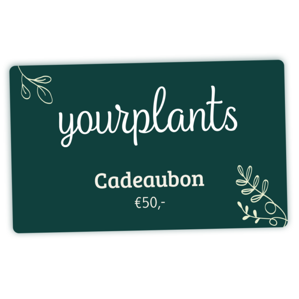 YourPlants Digitale cadeaubon - YourPlants