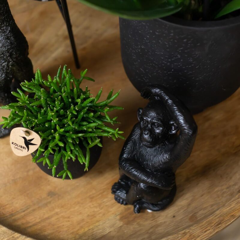 Ornament Sitting Monkey - Zwart