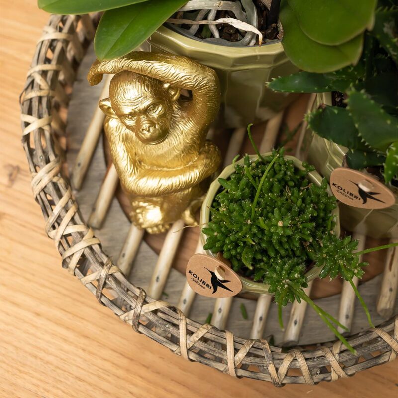 Ornament Sitting Monkey - Goud