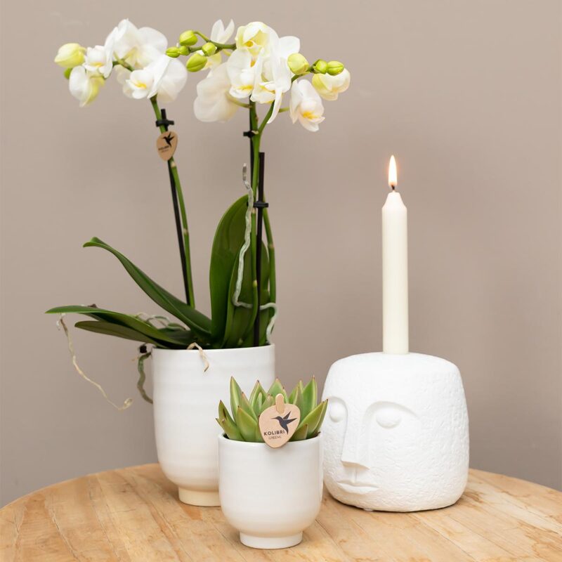 Candle Face kaarsenstandaard 12cm hoog - White