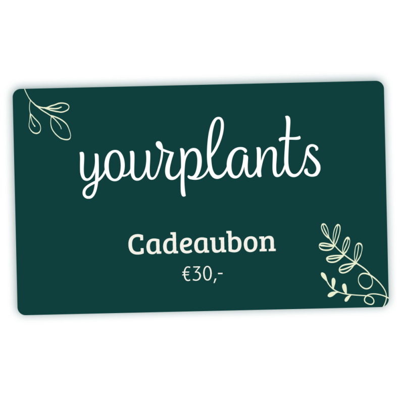 YourPlants Digitale cadeaubon